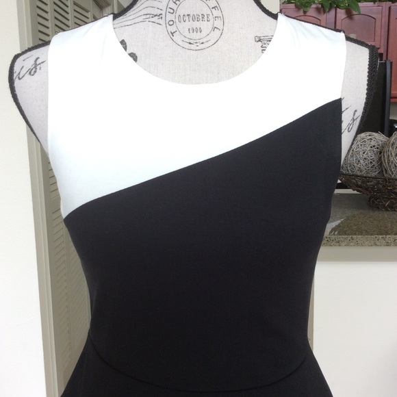 🌸 Color Blocked Skater Dress 🌸 - Picture 4 of 6